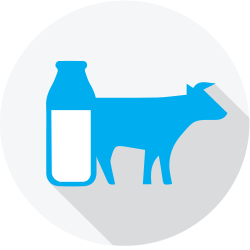 Dairy-industry